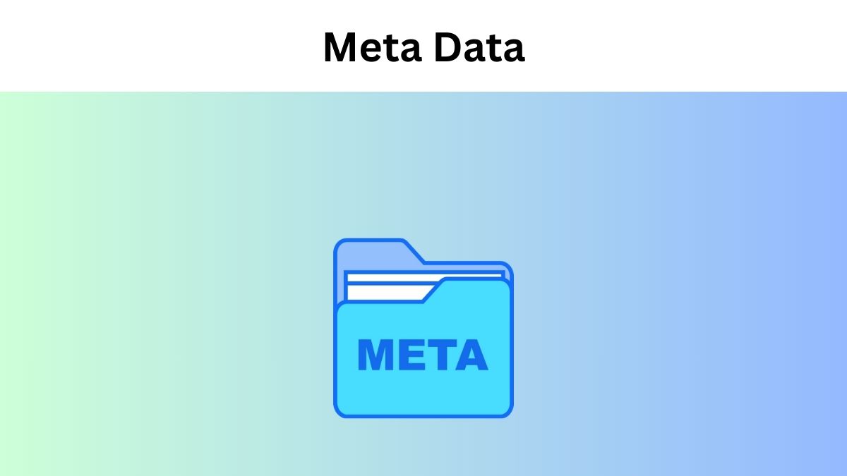 What is Meta Data