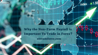 Why the Non-Farm Payroll is Important To Trade in Forex?