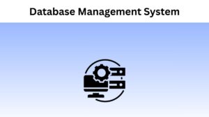 Pros and Cons of Database Management System