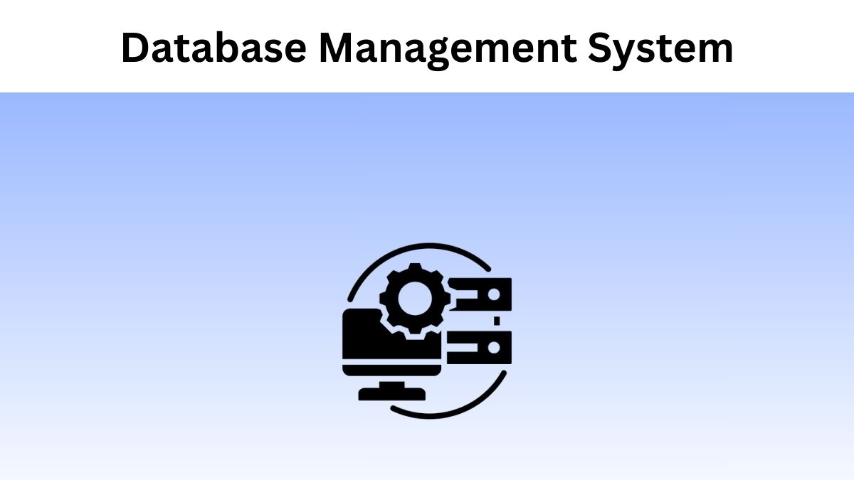 Pros and Cons of Database Management System