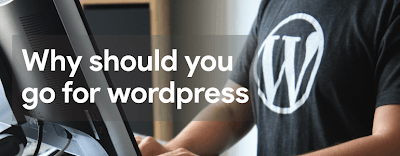 why should you go for WordPress