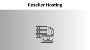 Reseller hosting