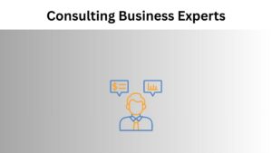 Benefits of Consulting Business Experts