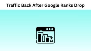 How Do I Get My Traffic Back After Google Ranks Drop