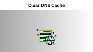 Clear DNS Cache