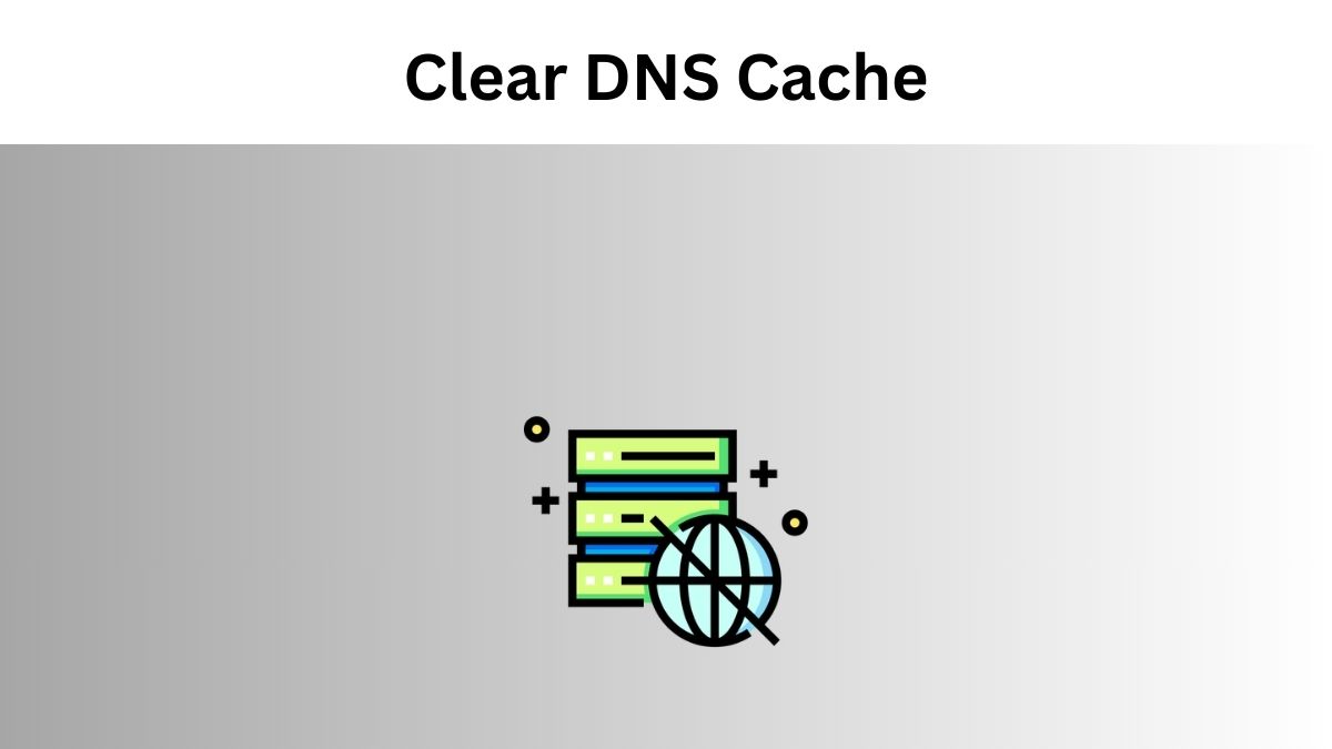 Clear DNS Cache