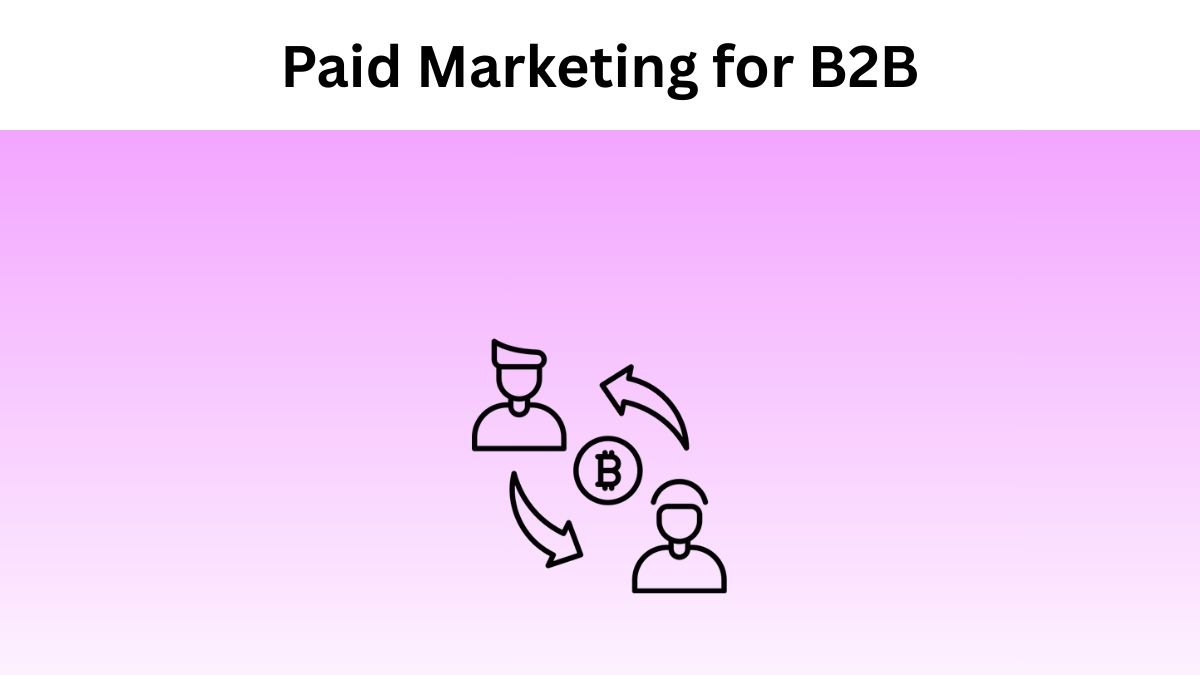 Paid Marketing for B2B