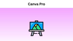 How much is Canva Pro