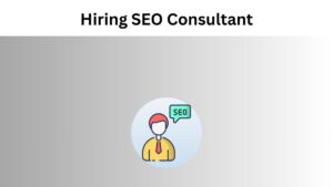 Questions to Ask Before Hiring SEO Consultant