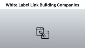 Best White Label Link Building Companies