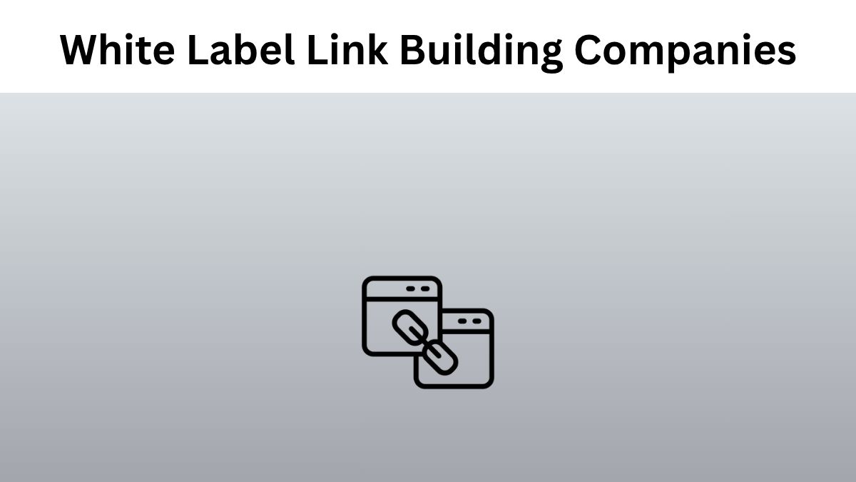 Best White Label Link Building Companies