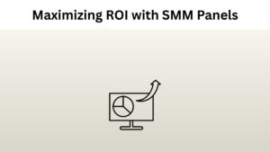 Advanced Strategies for Maximizing ROI with SMM Panels
