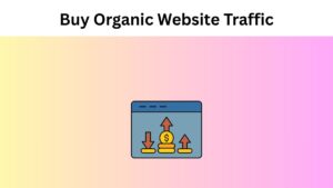 Buy Organic Website Traffic