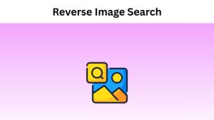 Reverse Image Search