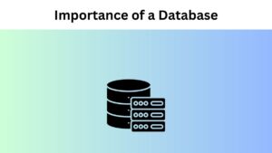 Importance of a Database for Modern Businesses