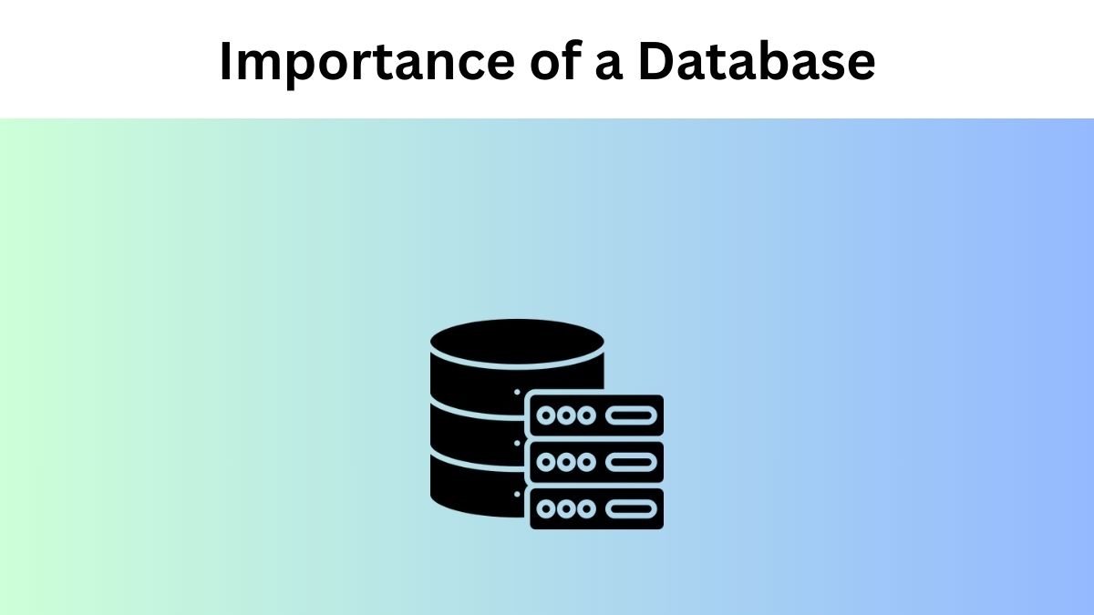 Importance of a Database for Modern Businesses