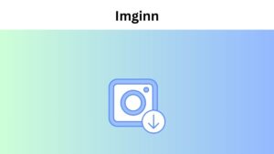 Dicover Imginn - Instagram content viewer & downloader