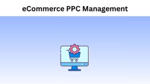 eCommerce PPC Management