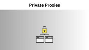 Private Proxies for SEO Agencies