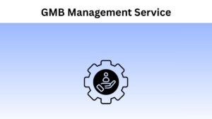 GMB Management Service